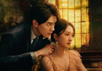 Download Drama China Accidental Firing Subtitle Indonesia